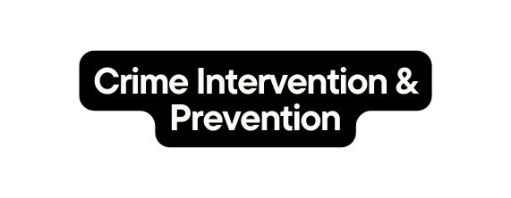 Crime Intervention Prevention